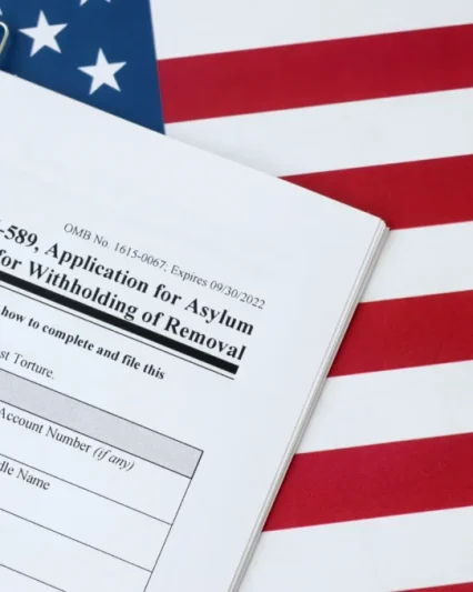 Asylum Evaluations
